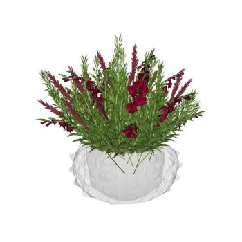 西洋杜鹃花盆植物SU模型 SU模型下载