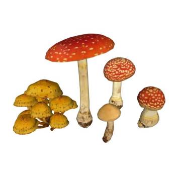 蘑菇植物SU模型 SU模型下载