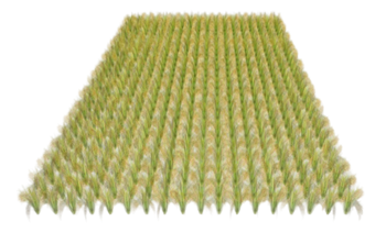 [植物]稻谷小麦粮田 草图大师素材库