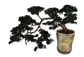 [植物]盆景盆栽松树 草图大师免费模型