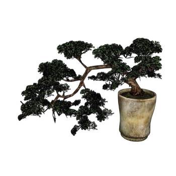 盆景盆栽松树植物SU模型 SU模型下载