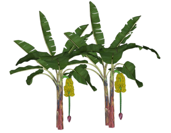 [植物]芭蕉树香蕉 SU模型免费下载