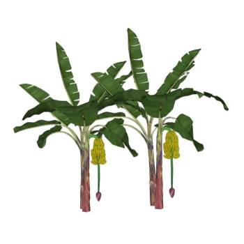 芭蕉树香蕉植物SU模型 SU模型下载