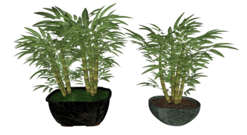 [植物]文竹盆栽盆景 SU模型素材库免费