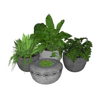 中式盆栽植物SU模型 SU模型下载