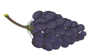 [装饰]一串葡萄水果 SU模型素材免费