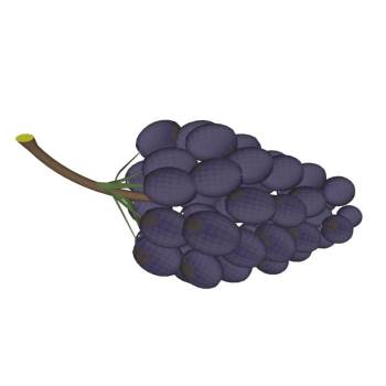 一串葡萄水果装饰SU模型 SU模型下载