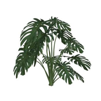 龟背竹观赏绿植植物SU模型 SU模型下载