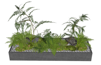 [景观]蕨类花坛植物花圃 免费下载 SketchUp模型截图 3D设计素材预览