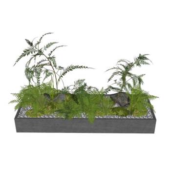 蕨类花坛植物花圃景观SU模型 SU模型下载