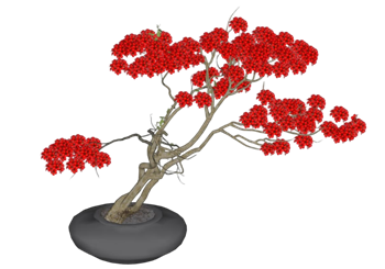 [植物]映山红杜鹃花盆栽 草图大师SU模型