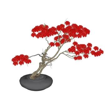 映山红杜鹃花盆栽植物SU模型 SU模型下载