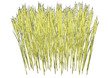 [景观]稻穗灯景观灯 免费 SketchUp模型截图 3D设计素材预览