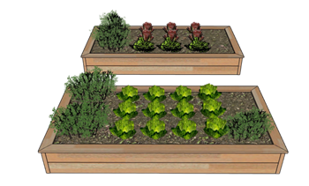 [景观]菜地菜园子蔬菜 草图大师模型下载