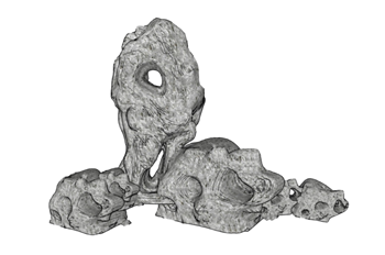 [景观]太湖石 草图大师模型 SketchUp模型截图 3D设计素材预览