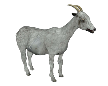 [动物]灰色的山羊 草图大师模型库下载 SketchUp模型截图 3D设计素材预览