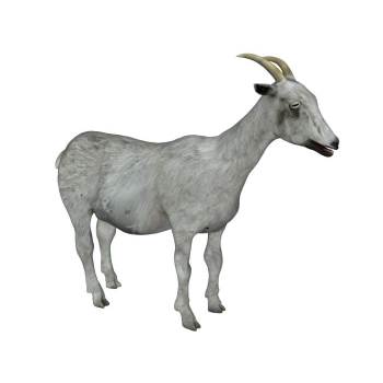 灰色的山羊动物SU模型 SU模型下载