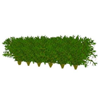 绿化植物植物SU模型 SU模型下载
