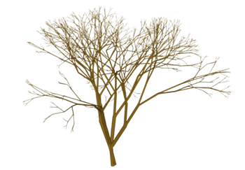 [植物]冬季枯树 草图大师模型库下载