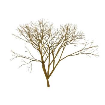 冬季枯树植物SU模型 SU模型下载