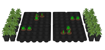 [装饰]园艺育苗穴盘苗营养杯 skp素材百度云下载 SketchUp模型截图 3D设计素材预览