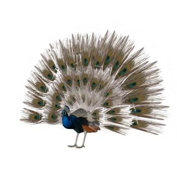 孔雀开屏动物动物SU模型 SU模型下载