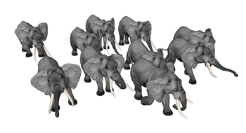 [动物]非洲大象大迁徙 草图官方模型下载