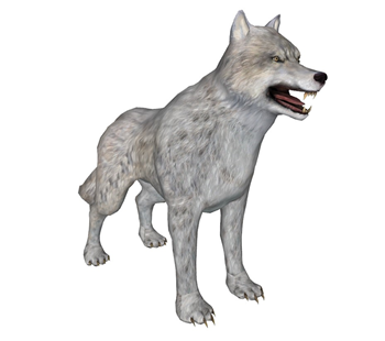 [动物]猛兽大灰狼动物 免费 SketchUp模型截图 3D设计素材预览