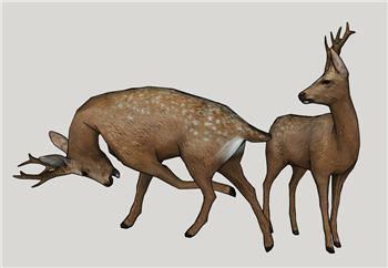 [动物]小鹿梅花鹿动物 SU模型库
