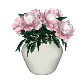 花瓶与芍药花束装饰SU模型 SU模型下载