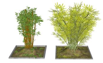 竹子竹堆景观小品景观SU模型 SU模型下载