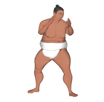 相扑选手人物人物SU模型 SU模型下载