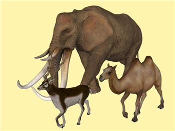 大象羚羊骆驼动物组合动物SU模型 - SU模型免费下载_sketchup模型