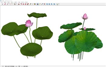 荷花荷塘景观植物景观SU模型 SU模型下载