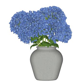 蓝色绣球花瓶SU模型 - SU模型免费下载_sketchup模型