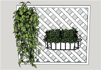 墙面绿植花架SU模型 - SU模型免费下载_sketchup模型