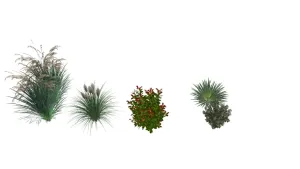 观赏草与灌木水生植物SU模型 - SU模型免费下载_sketchup模型