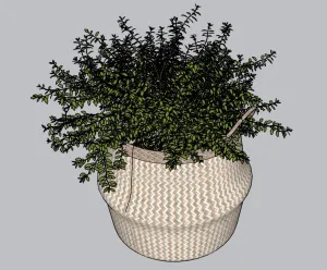 编织篮绿植盆栽SU模型 - SU模型免费下载_sketchup模型