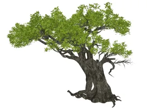 苍劲古榕树古树景观SU模型 SU模型下载