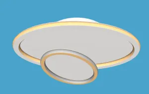 圆形双层吸顶灯SU模型 - SU模型免费下载_sketchup模型