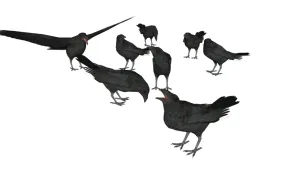 多姿态乌鸦群SU模型 - SU模型免费下载_sketchup模型