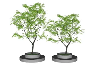 双株树池围树座椅SU模型 - SU模型免费下载_sketchup模型