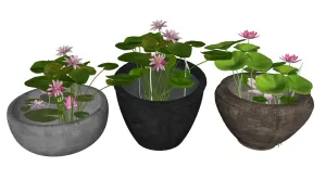 SU 陶缸水缸荷花池景观SU模型 SU模型免费下载