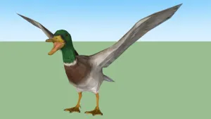 SU 绿头鸭子动物SU模型 SU模型免费下载