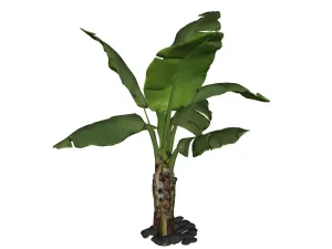 芭蕉树绿植SU模型 SU模型下载