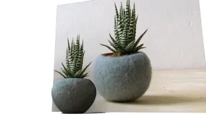 水泥球形花罐植物SU模型 SU模型下载