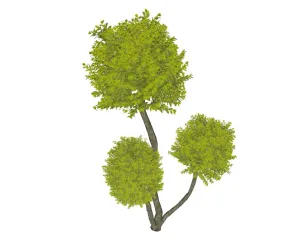 三球冠造型景观树SU模型