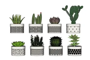 桌面植物多肉盆栽SU模型