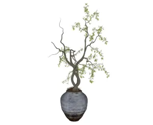 新中式陶罐绿植盆栽SU模型 SU模型下载