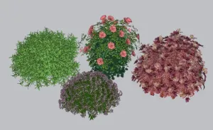 景观花灌植物组合SU模型 SU模型下载